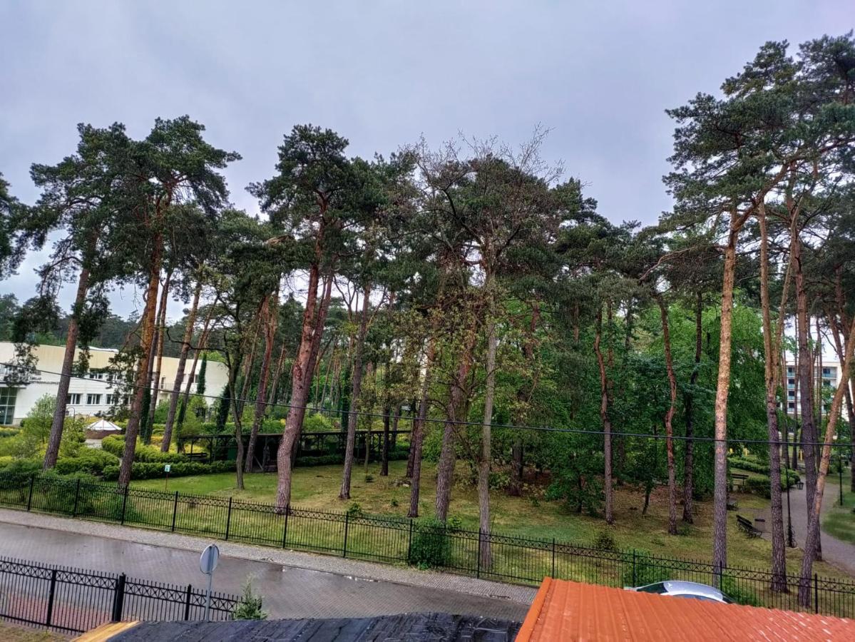 "Hel" Wieniec Zdroj Włocławek エクステリア 写真